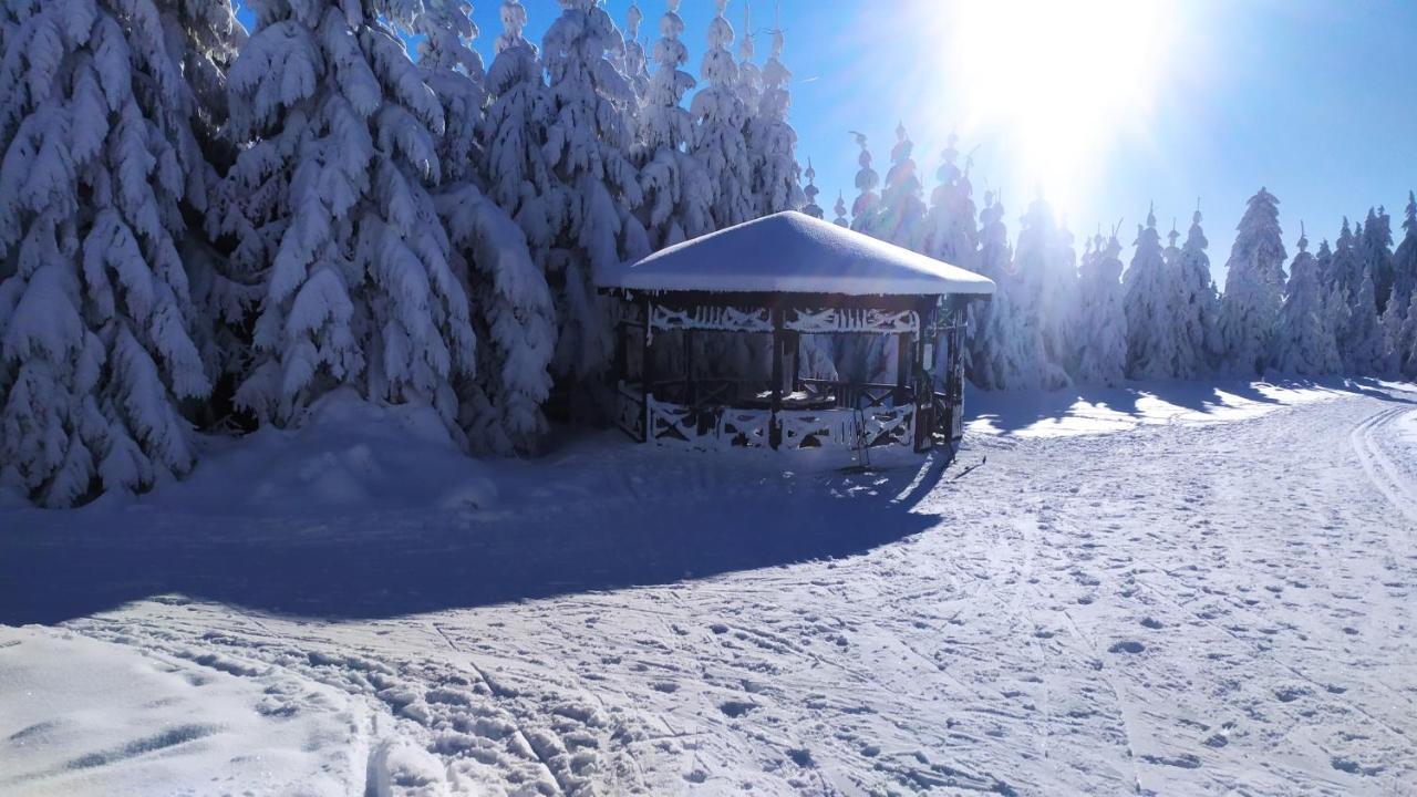 Chata Helena Loučná pod Klínovcem Bagian luar foto